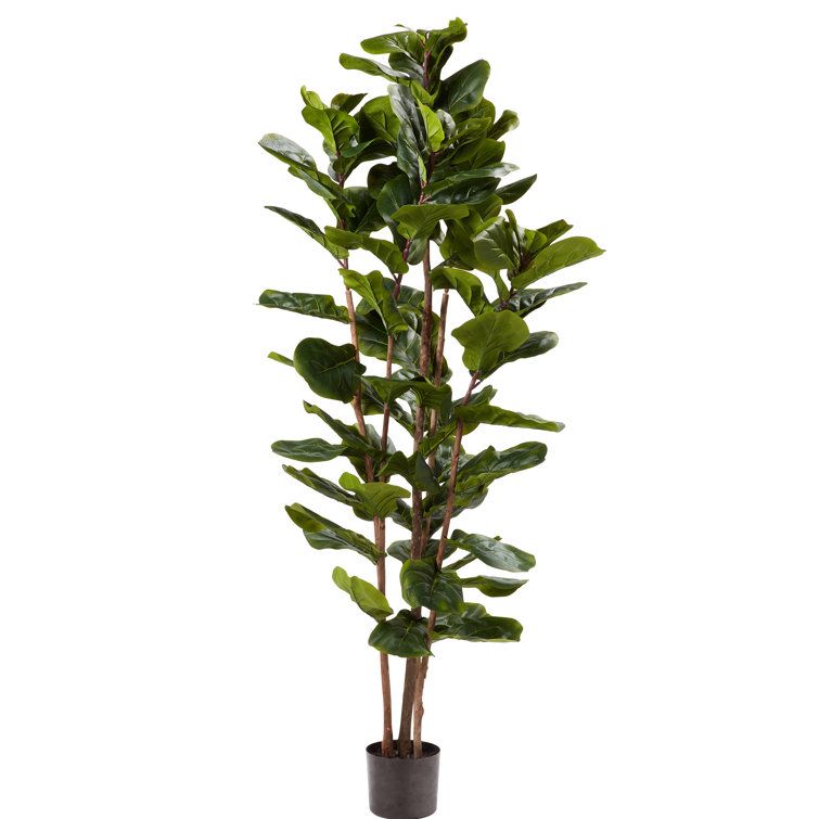 Pure Garden 182.88Cm Faux Fiddle Leaf Fig Tree in Planter & Reviews